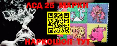 apvp Славгород