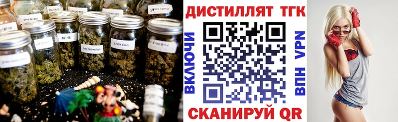 ТГК концентрат  Буйнакск 