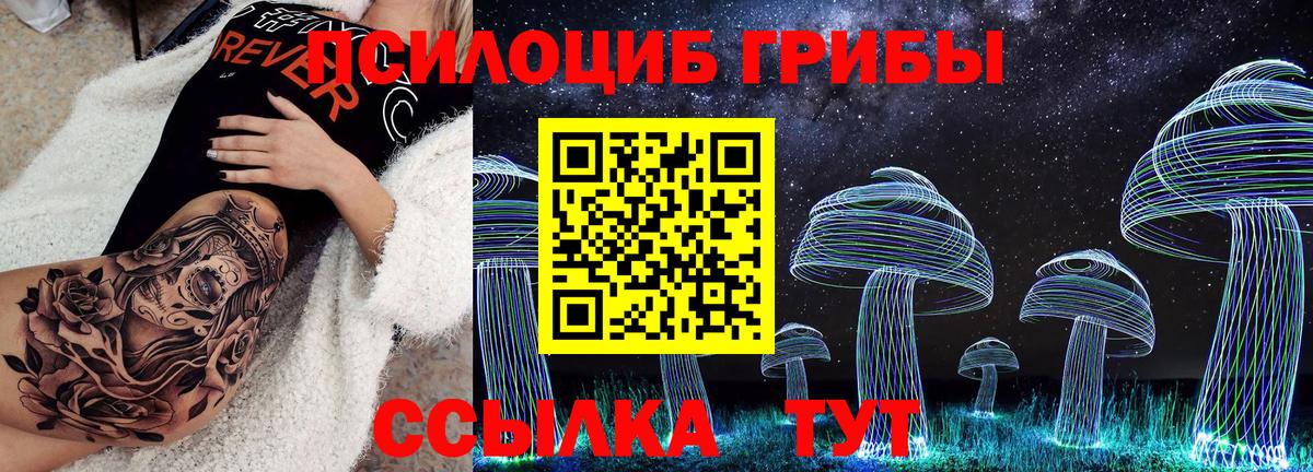 Псилоцибиновые грибы прущие грибы Буйнакск