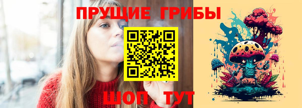 Галлюциногенные грибы прущие грибы  Вход с VPN  Буйнакск 